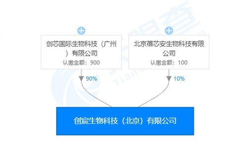 創宸生物獲創芯國際戰略加持，以類器官技術引領個體化醫療新紀元